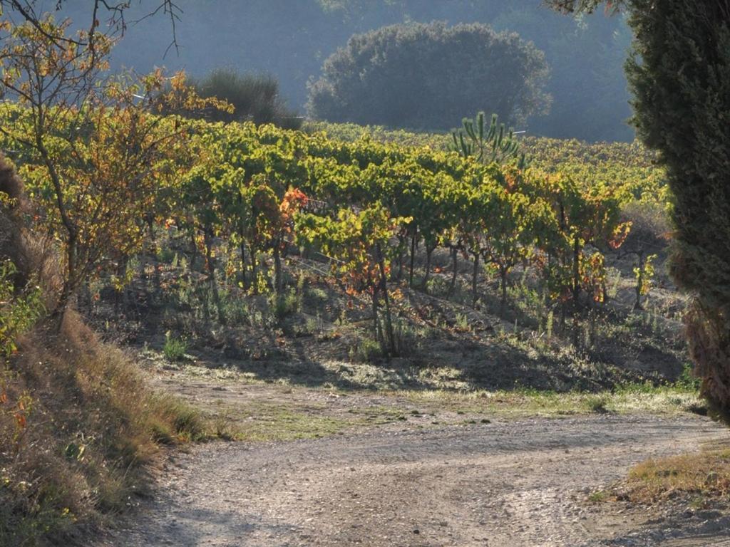 Domaine Saint Victor Hotell La Tour-dʼAigues Exteriör bild